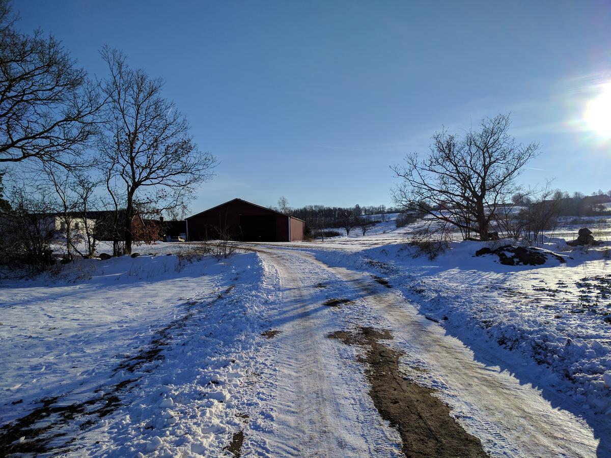 Olserods Hundcenter & Vandrarhem Degeberga Eksteriør bilde
