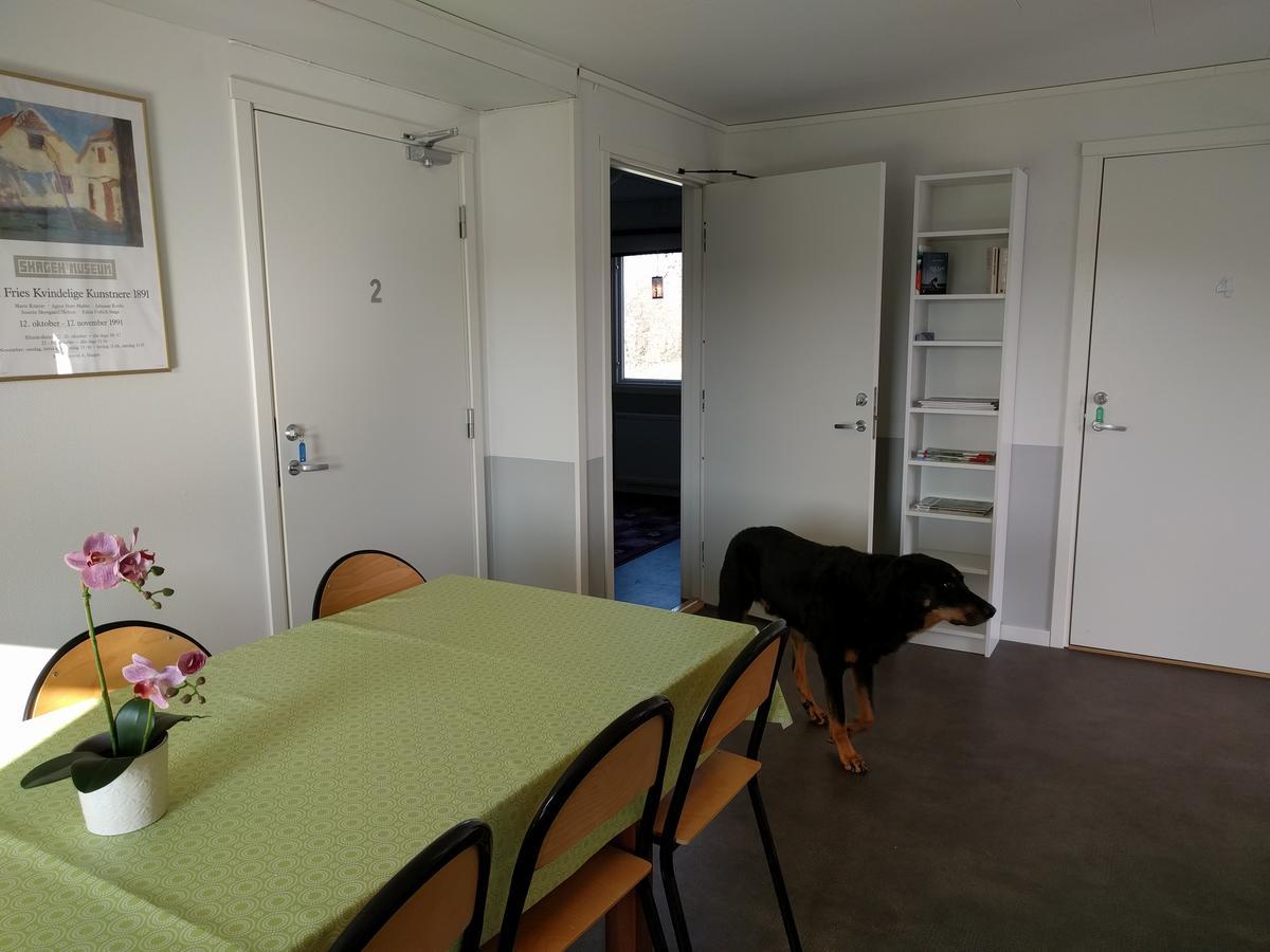 Olserods Hundcenter & Vandrarhem Degeberga Eksteriør bilde